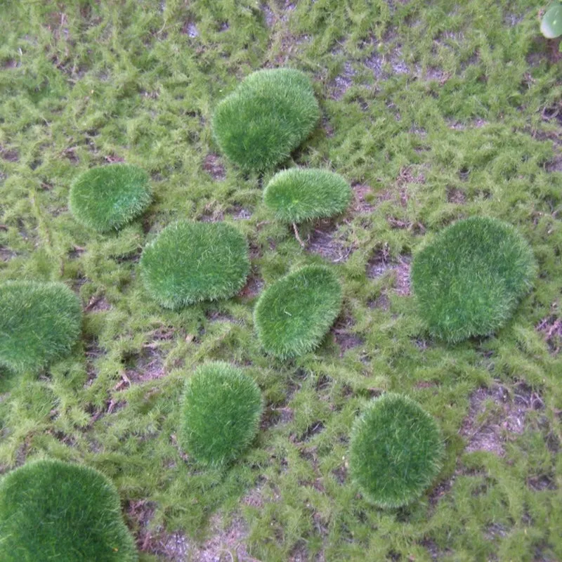 10 Pcs Green Artificial Moss Stones