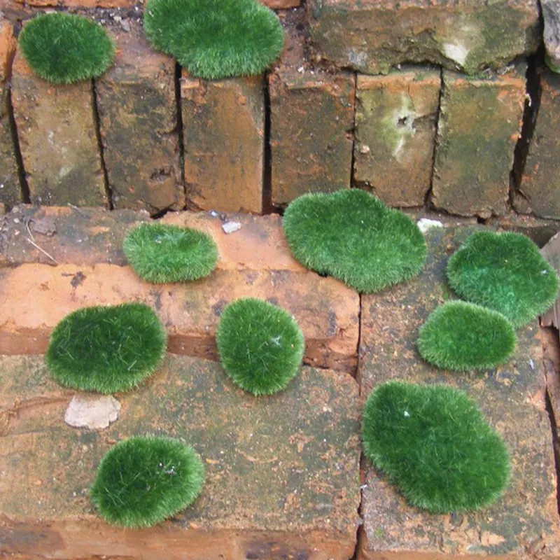 10 Pcs Green Artificial Moss Stones