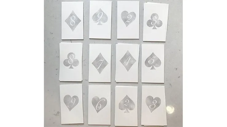 Appearing Business Cards (Card Reveal Pack) by Sam Gherman