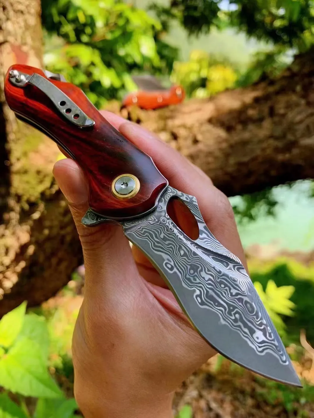 Auspicious Cloud VG10 Pocket Knife