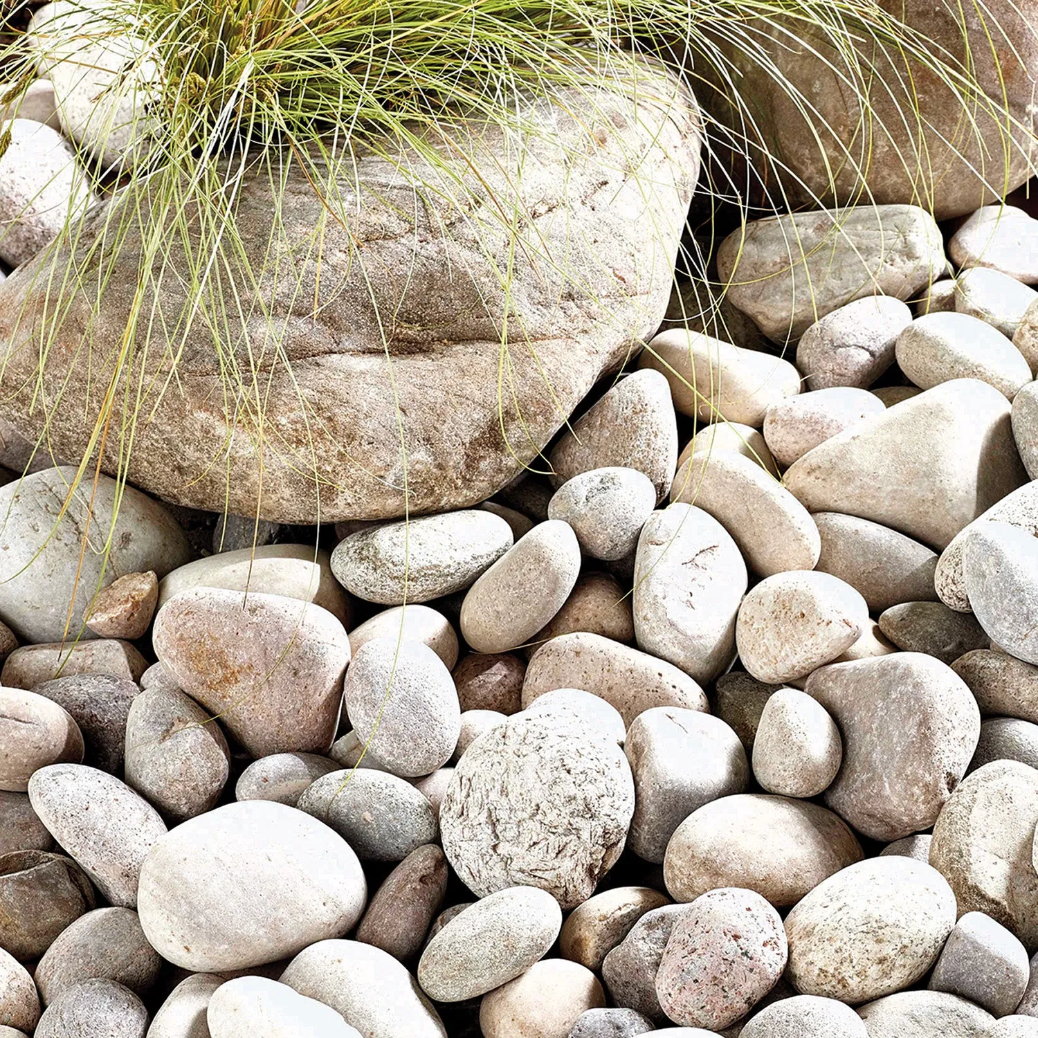 Kelkay Premium North Sea Cobbles 50-80mm
