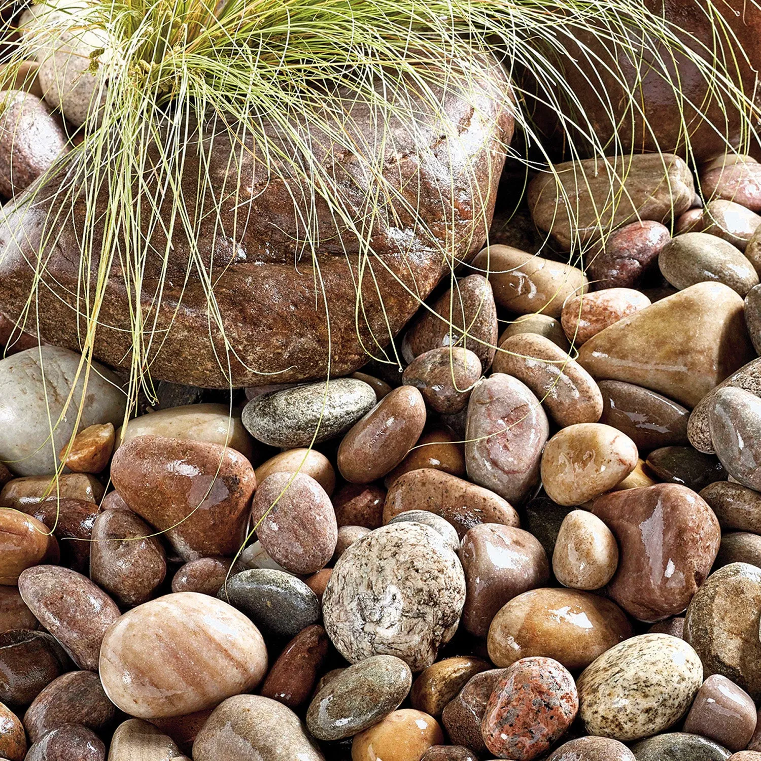 Kelkay Premium North Sea Cobbles 50-80mm