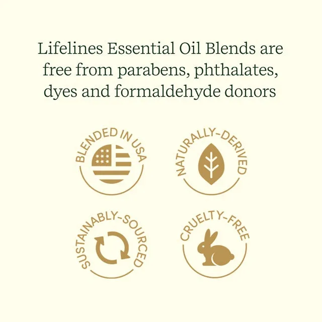 Lifelines Grounding Stones Meditative Fidget Set plus Essential Oil Blend