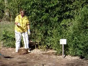 Mid-Atlantic Bamboo's Bamboo Spade (extra duty)