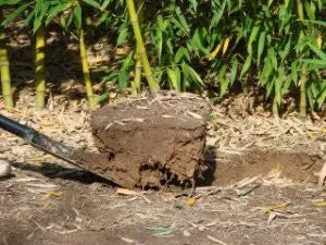 Mid-Atlantic Bamboo's Bamboo Spade (extra duty)