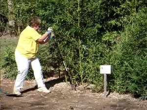 Mid-Atlantic Bamboo's Bamboo Spade (extra duty)