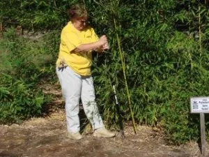 Mid-Atlantic Bamboo's Bamboo Spade (extra duty)