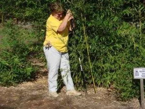 Mid-Atlantic Bamboo's Bamboo Spade (extra duty)