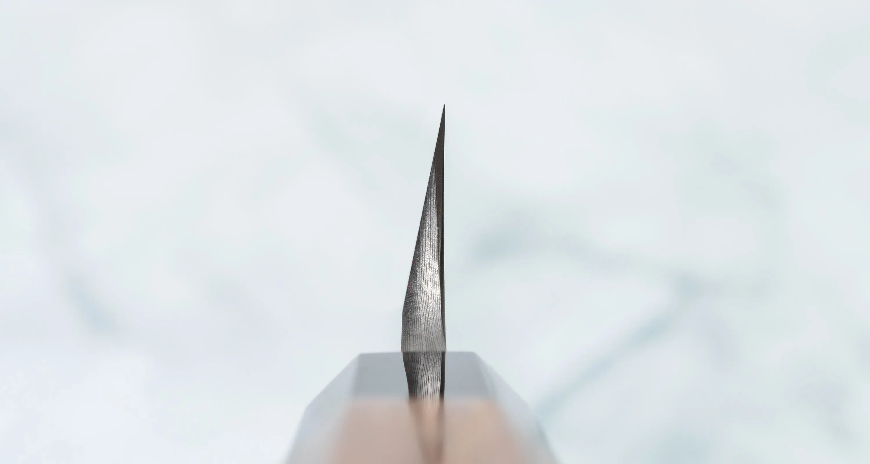 Nigara Kurozome Sakimaru Yanagiba Aogami #2 Damascus 270mm (10.6")