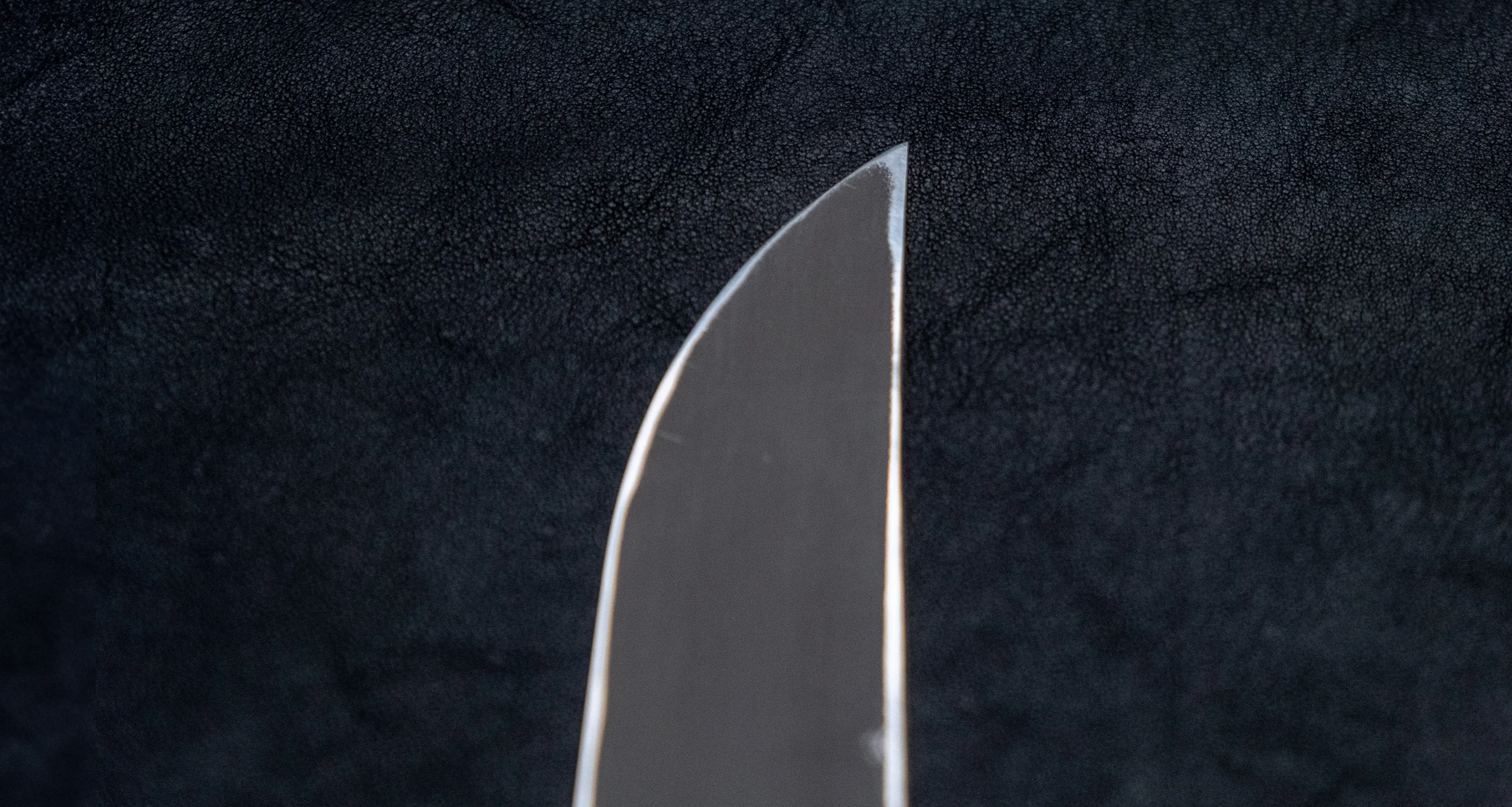 Nigara Kurozome Sakimaru Yanagiba Aogami #2 Damascus 270mm (10.6")