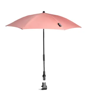 Parasol Ginger