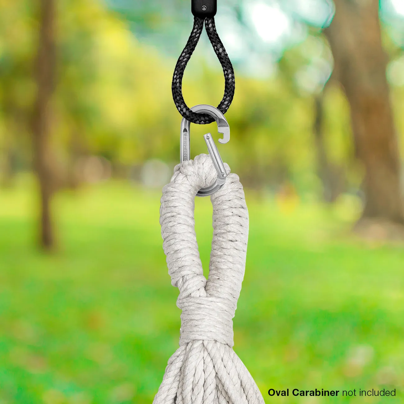 Saucer Hanging Swing Nest
