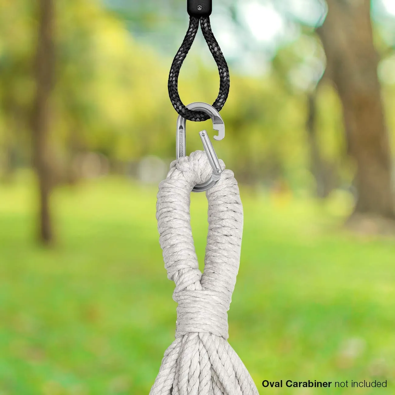 Saucer Hanging Swing Nest