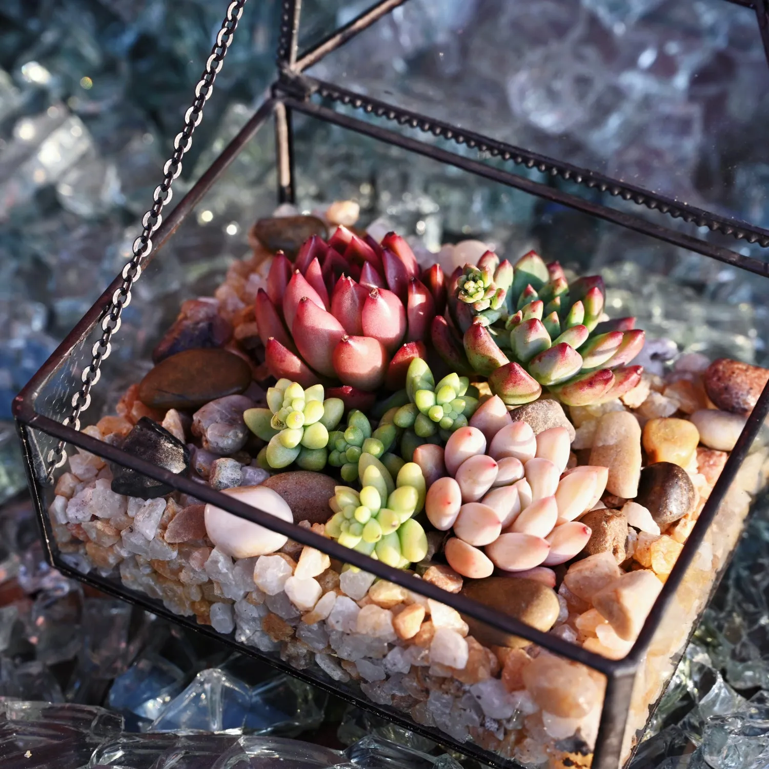Succulent and Cactus Bonsai DIY Rocks, Golden Sand Stones