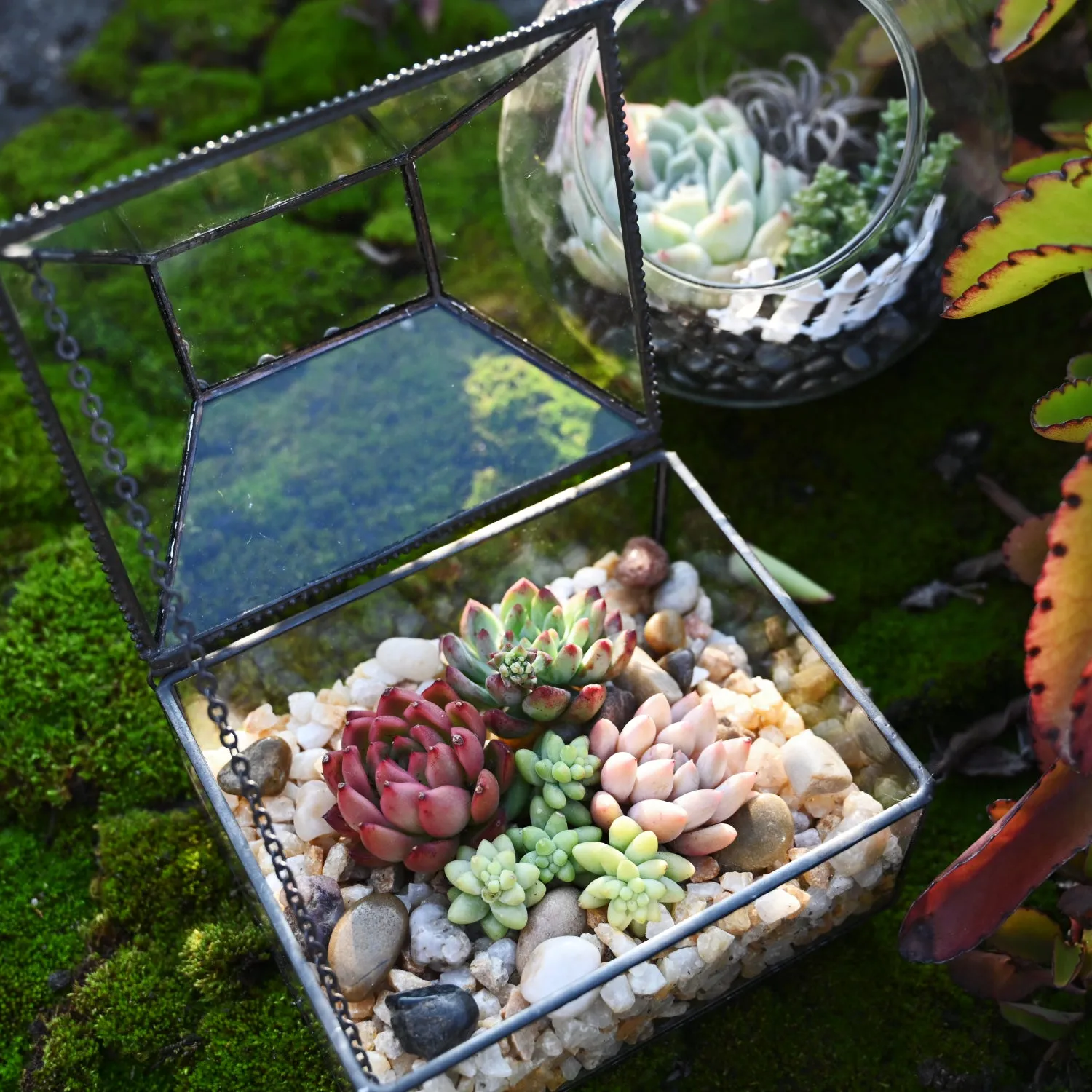 Succulent and Cactus Bonsai DIY Rocks, Golden Sand Stones