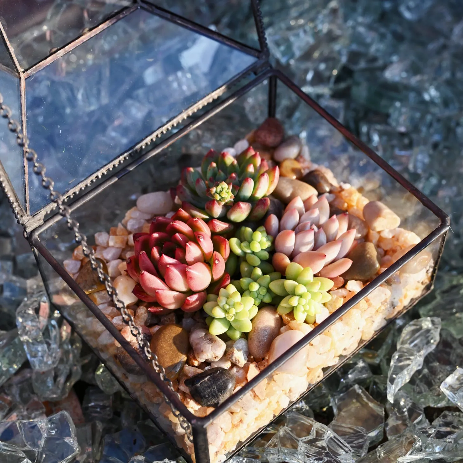 Succulent and Cactus Bonsai DIY Rocks, Golden Sand Stones