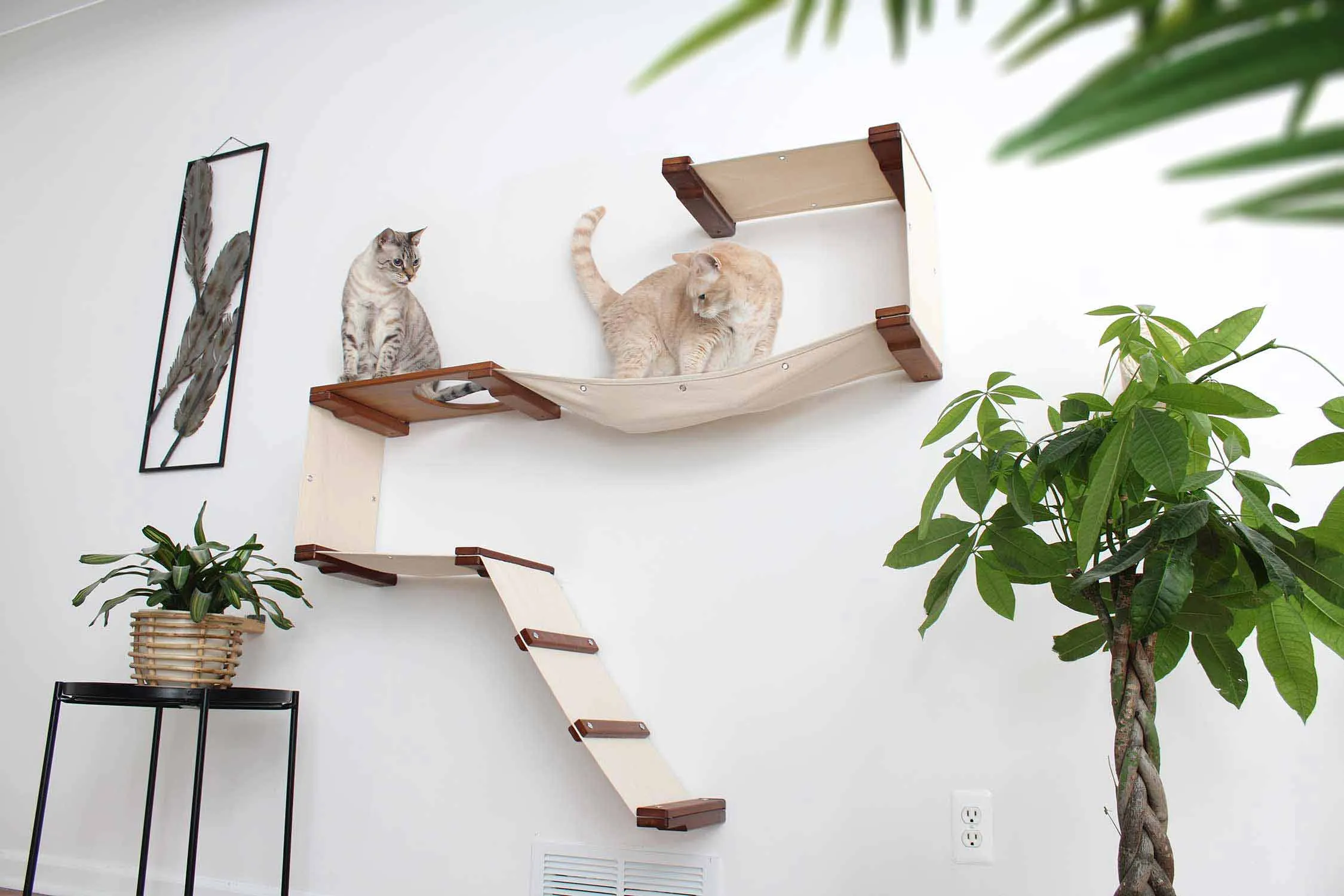 The Play Cat Condo - A Wall-Mounted Cat Tree