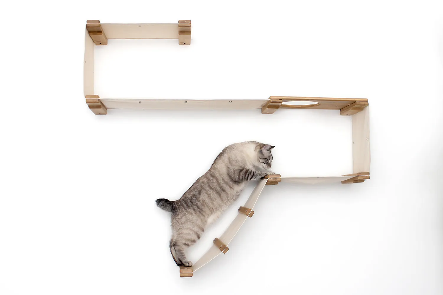 The Play Cat Condo - A Wall-Mounted Cat Tree