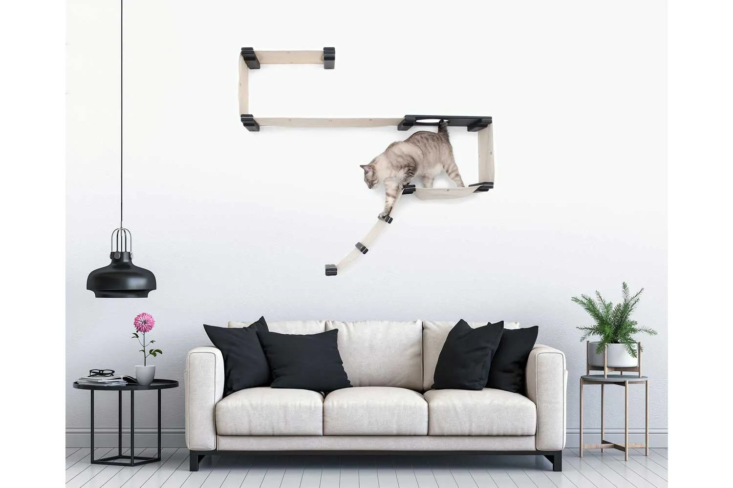 The Play Cat Condo - A Wall-Mounted Cat Tree