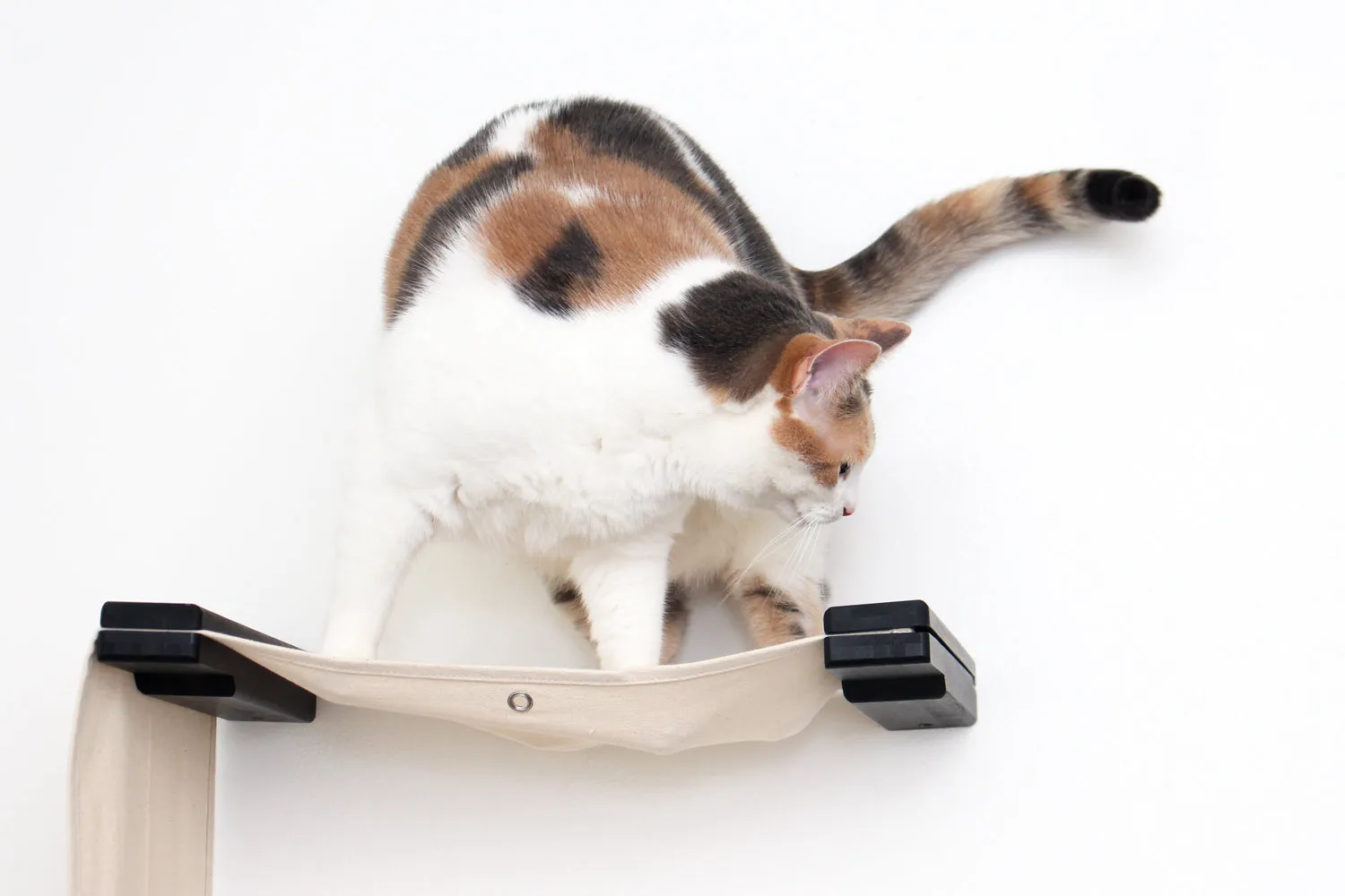 The Play Cat Condo - A Wall-Mounted Cat Tree