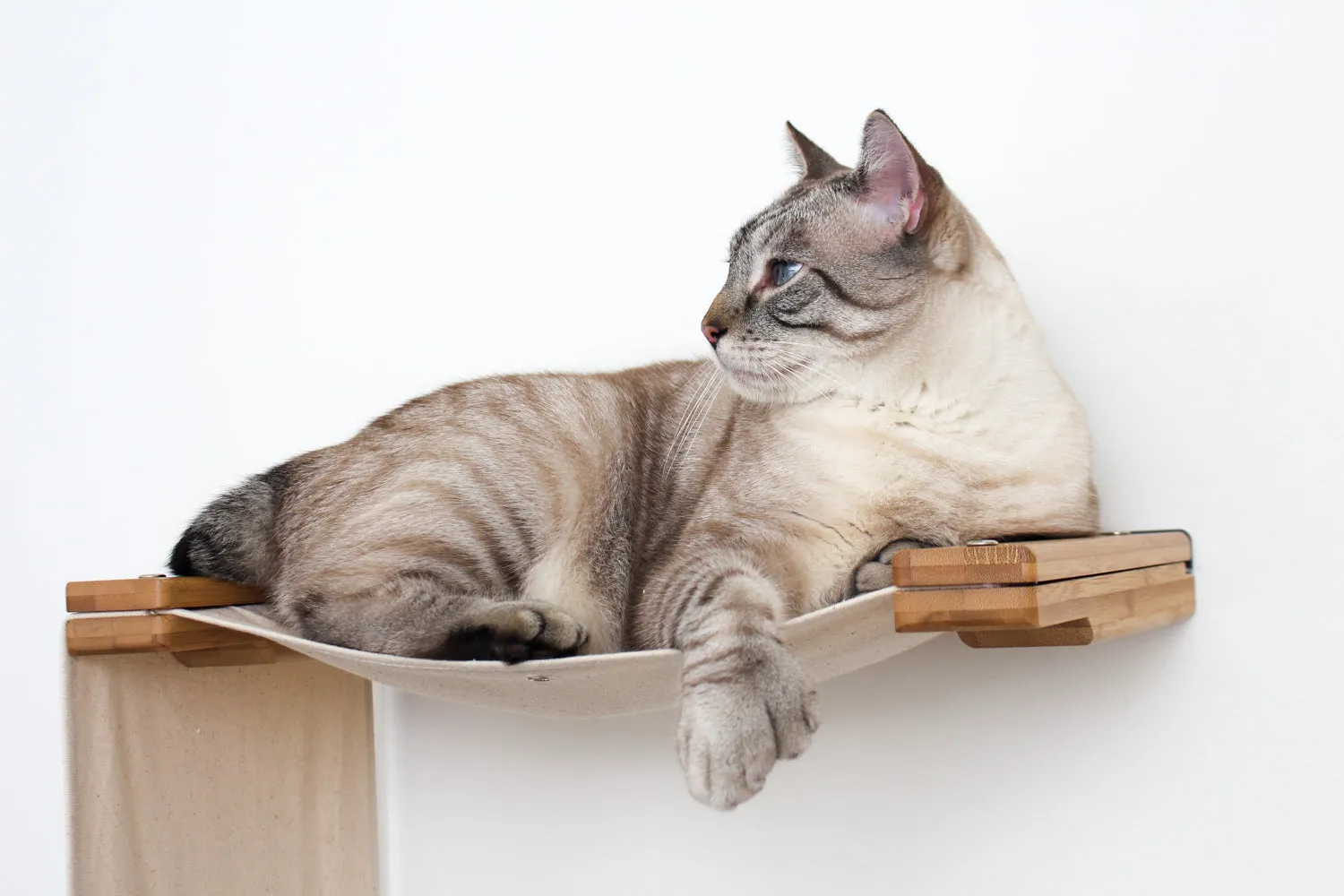 The Play Cat Condo - A Wall-Mounted Cat Tree