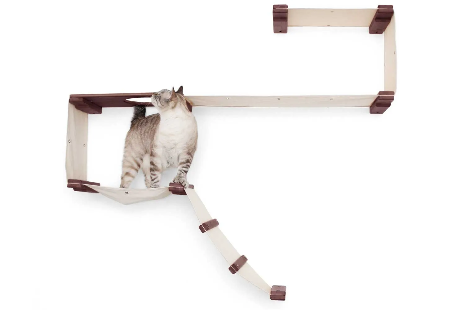 The Play Cat Condo - A Wall-Mounted Cat Tree