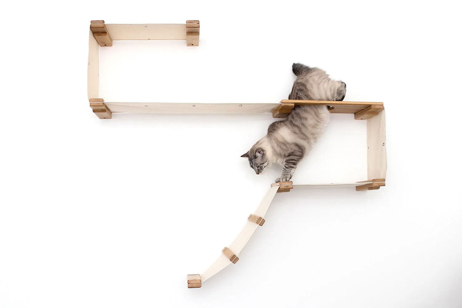 The Play Cat Condo - A Wall-Mounted Cat Tree