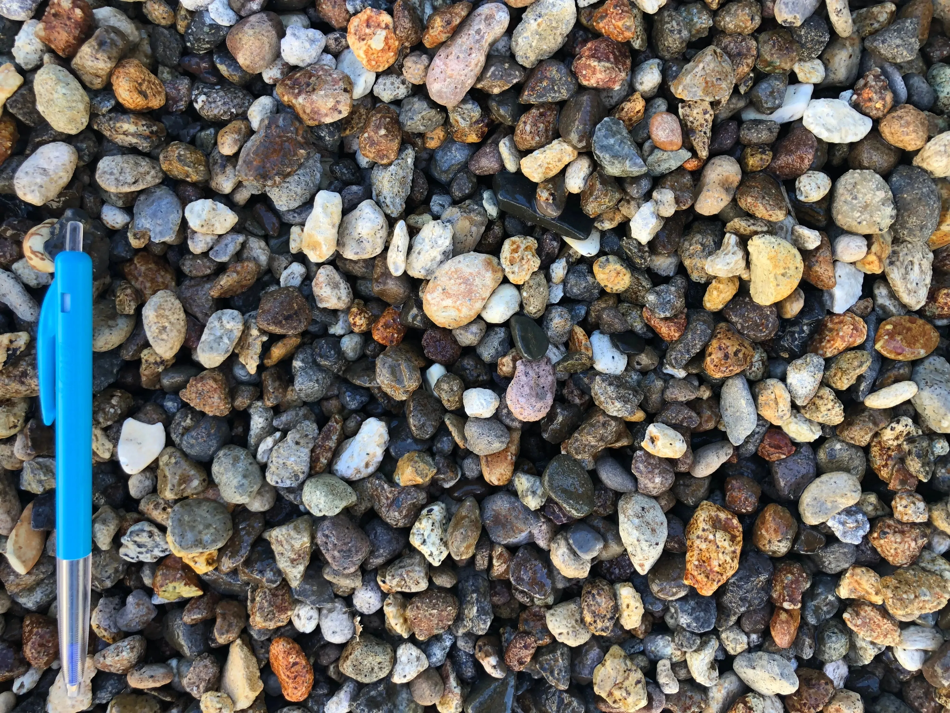 Waikato Gold Fine