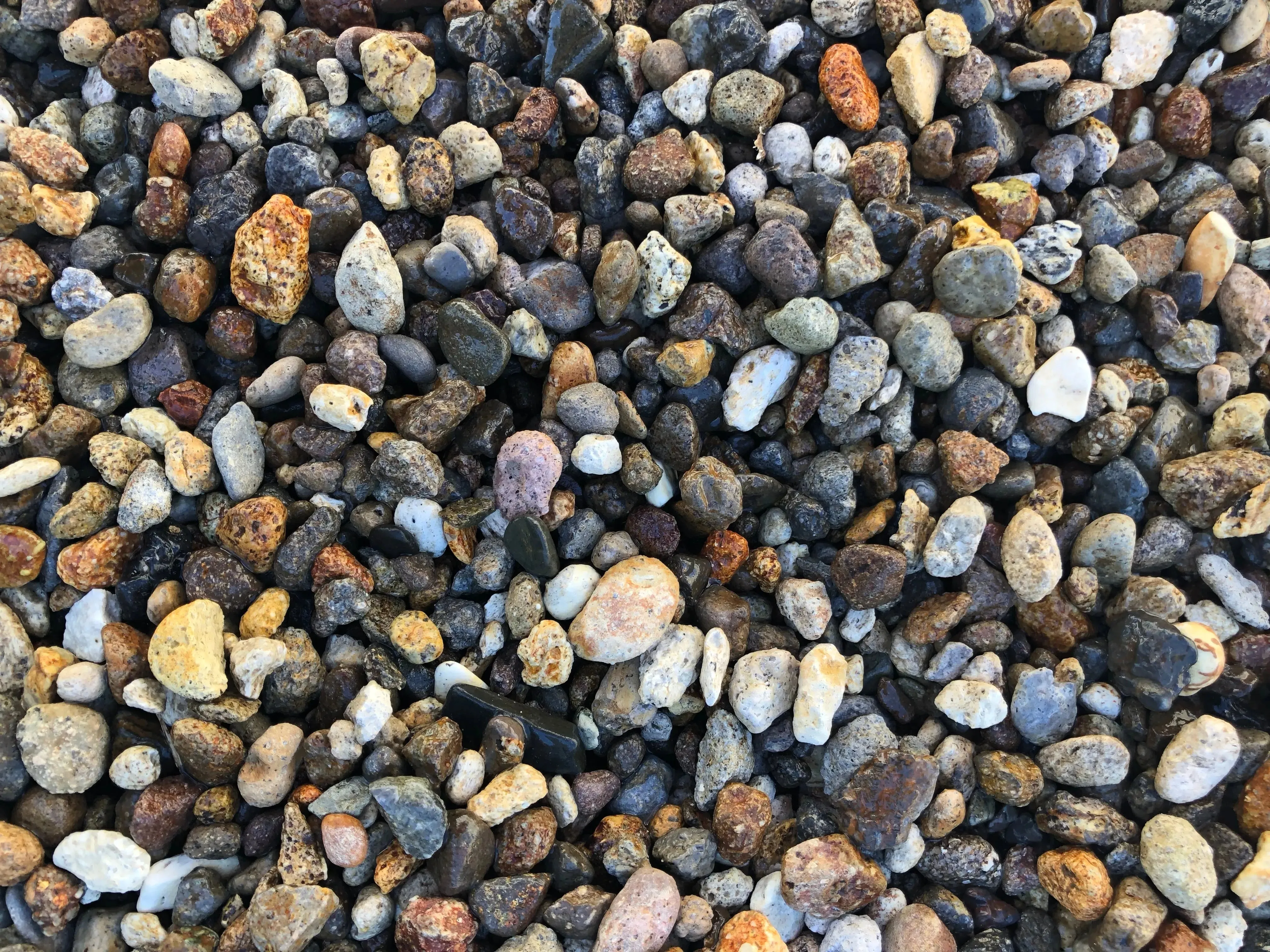 Waikato Gold Fine